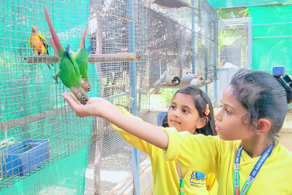 Formative Pre-primary