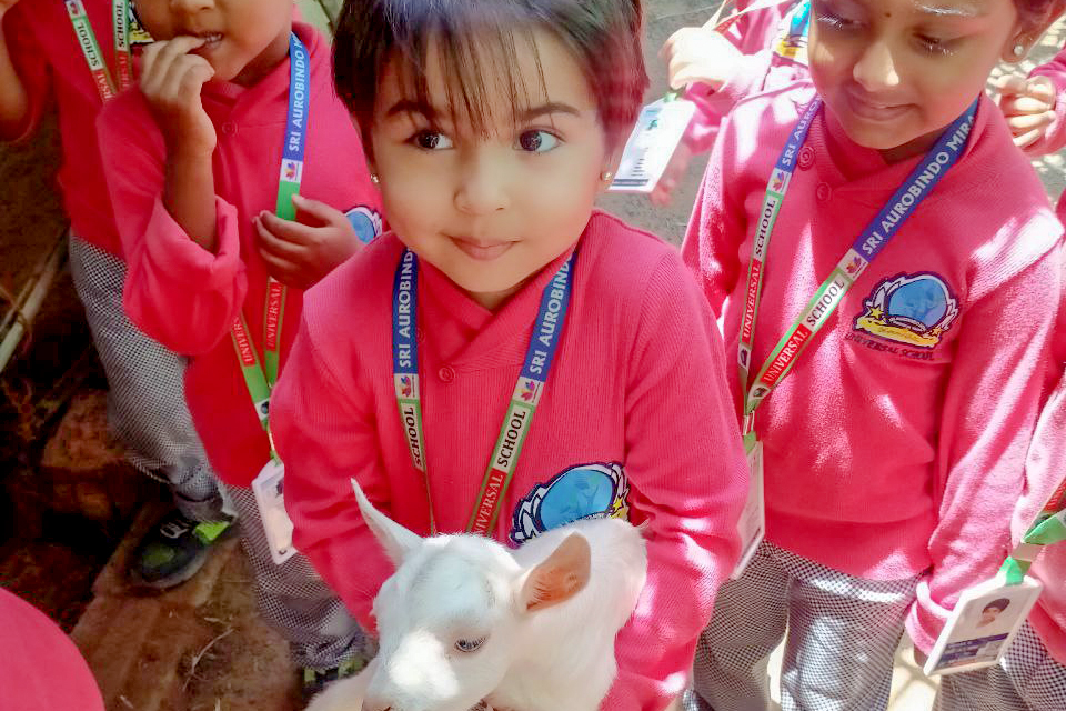 Formative Pre-primary