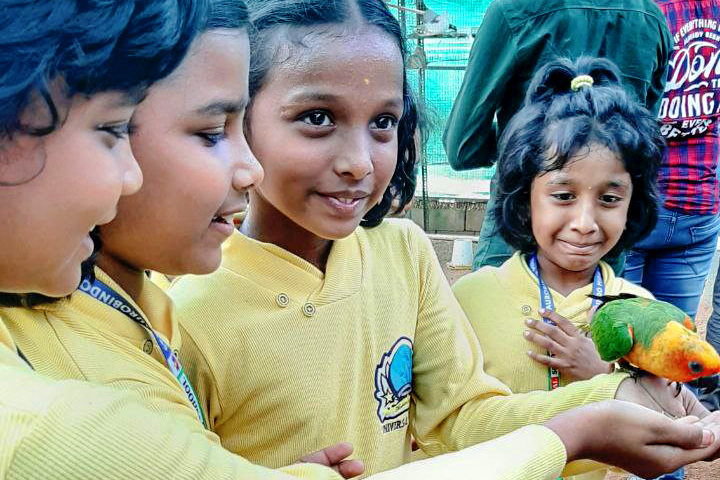 Formative Pre-primary