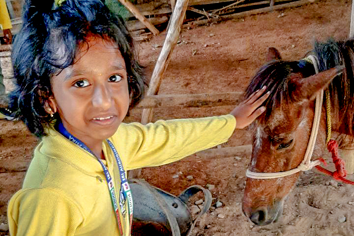 Formative Pre-primary