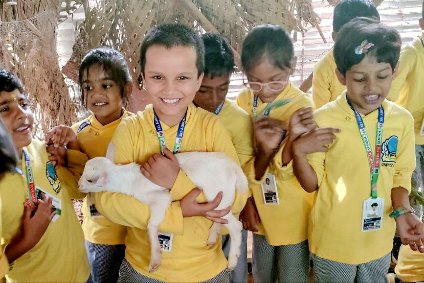 Formative Pre-primary